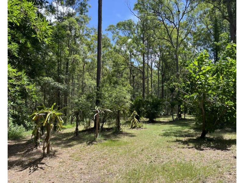 339 Nash Road, Tamaree QLD 4570
