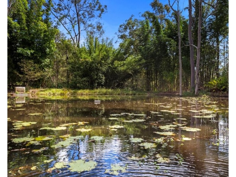 339 Nash Road, Tamaree QLD 4570