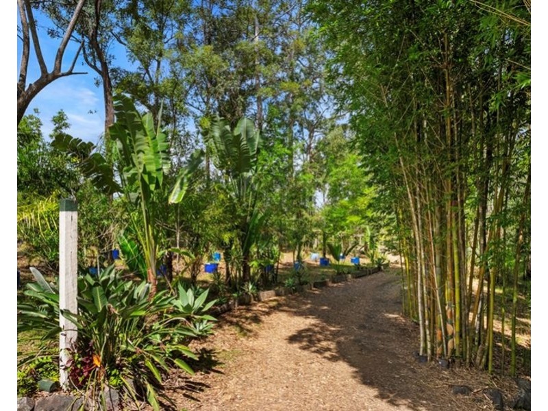 339 Nash Road, Tamaree QLD 4570