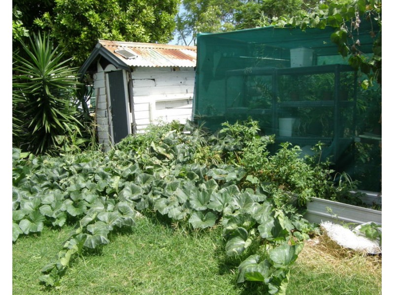 3 Dahlke Street, Goomeri QLD 4601