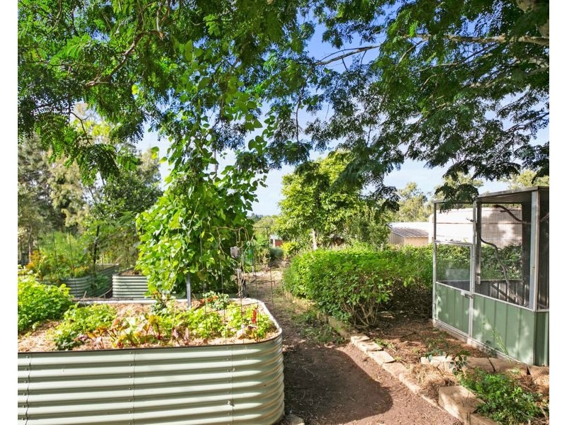 288 Mc Intosh Creek Road, Jones Hill QLD 4570