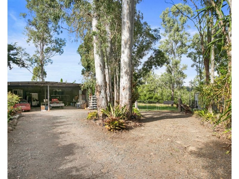 288 Mc Intosh Creek Road, Jones Hill QLD 4570