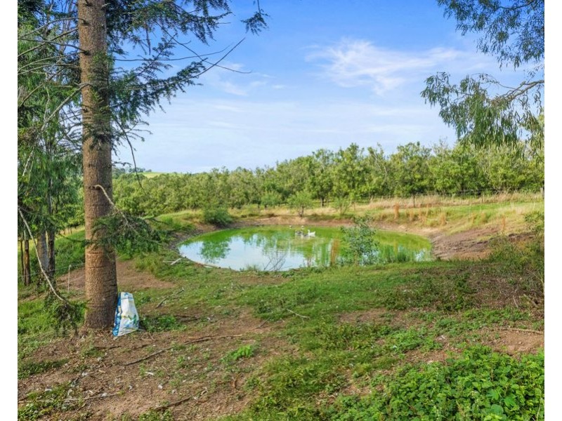 288 Mc Intosh Creek Road, Jones Hill QLD 4570