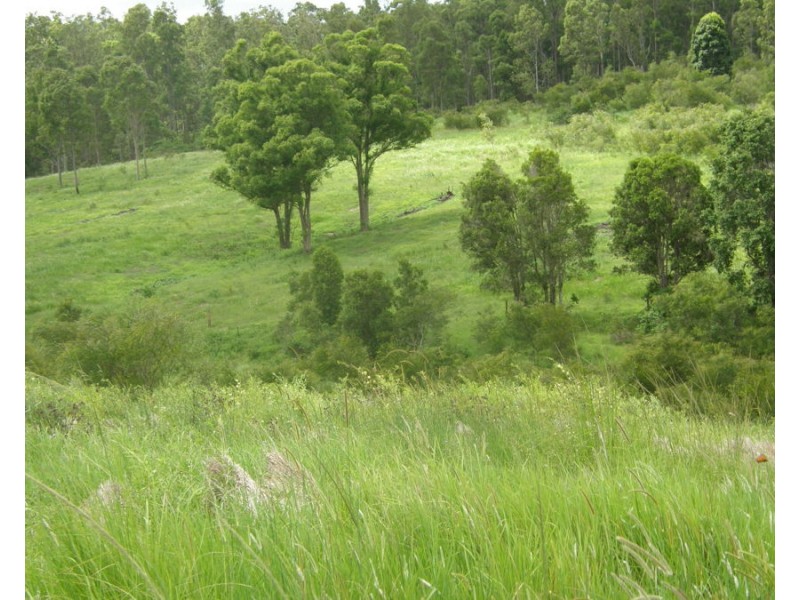 297 Tamaree Road, Tamaree QLD 4570