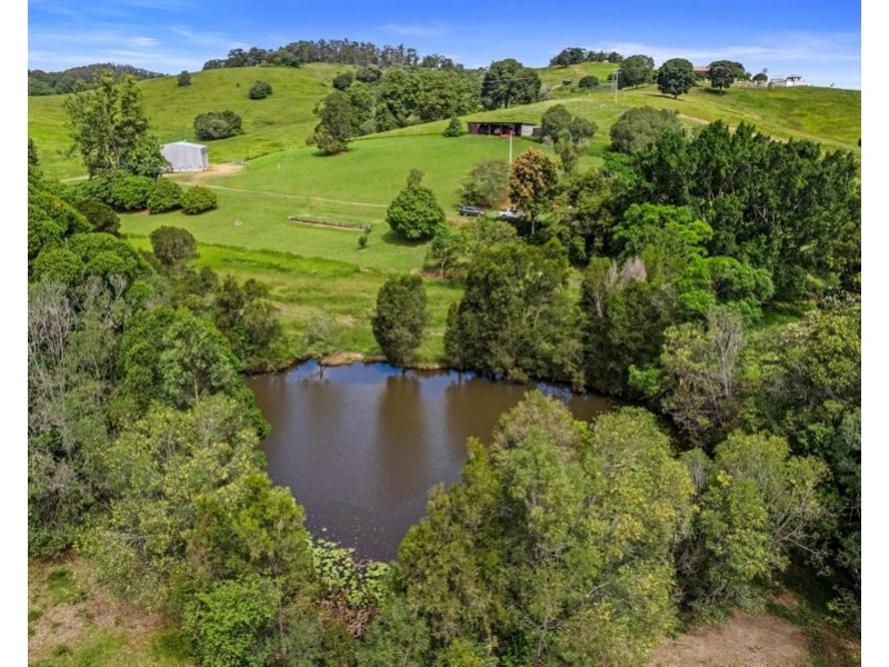 204 Treeby Road, Wilsons Pocket QLD 4570