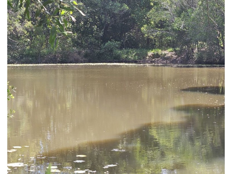204 Treeby Road, Wilsons Pocket QLD 4570