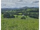 204 Treeby Road, Wilsons Pocket QLD 4570