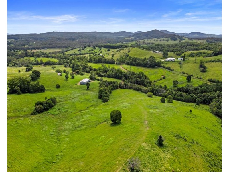 204 Treeby Road, Wilsons Pocket QLD 4570