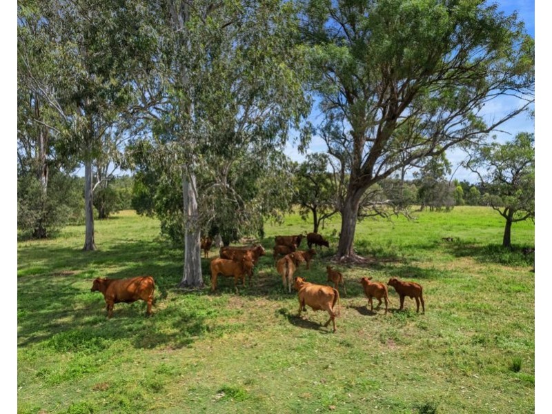 North Aramara QLD 4620