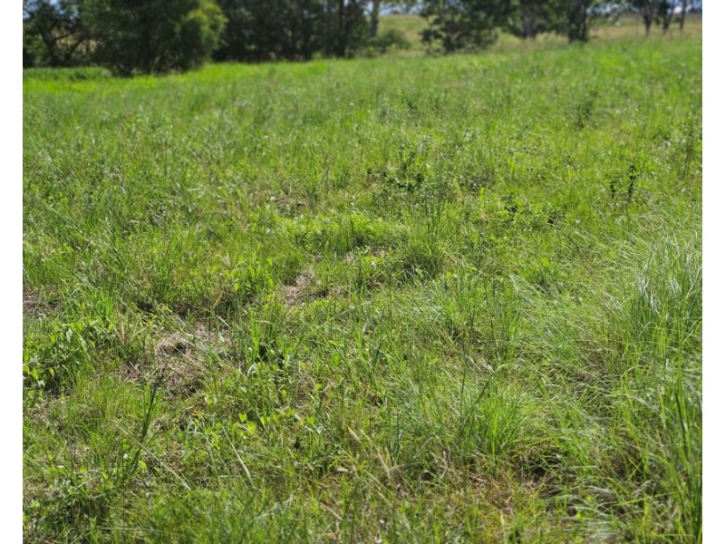 Lot 180 Leroyd Street, Murgon QLD 4605