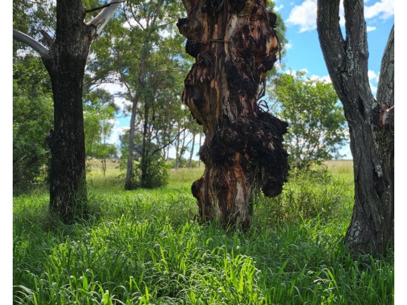 Lot 180 Leroyd Street, Murgon QLD 4605