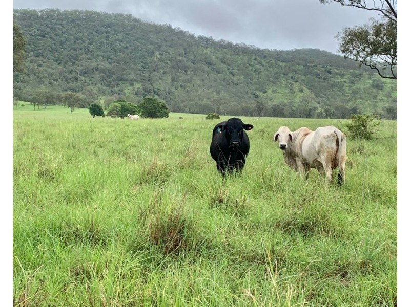 Lot 172 Gympie Woolooga Road, Lower Wonga QLD 4570