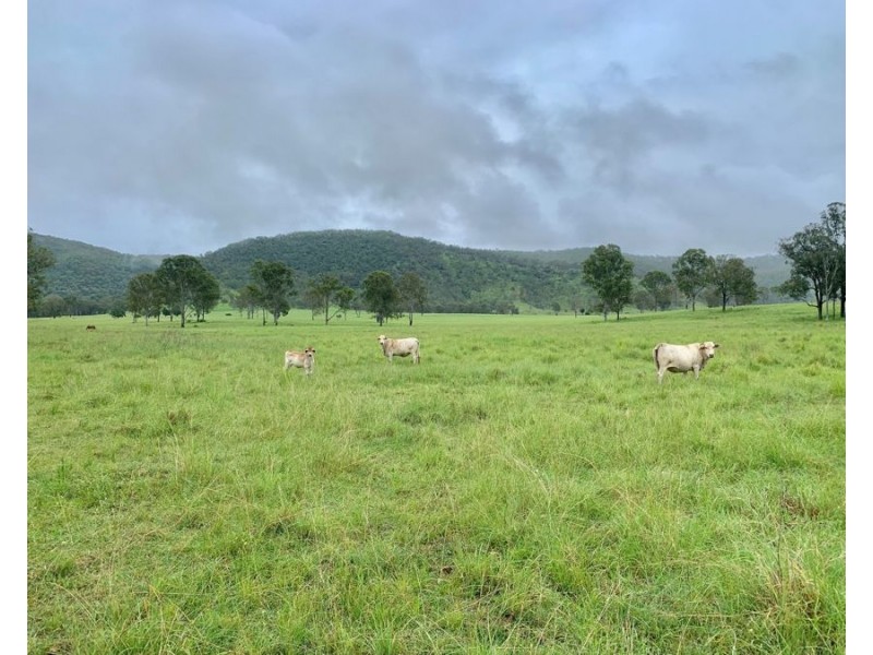 Lot 172 Gympie Woolooga Road, Lower Wonga QLD 4570