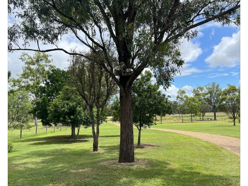 576 Curra Estate Road, Curra QLD 4570