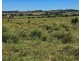 Mp Creek QLD 4606