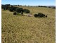 Mp Creek QLD 4606