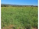 Mp Creek QLD 4606