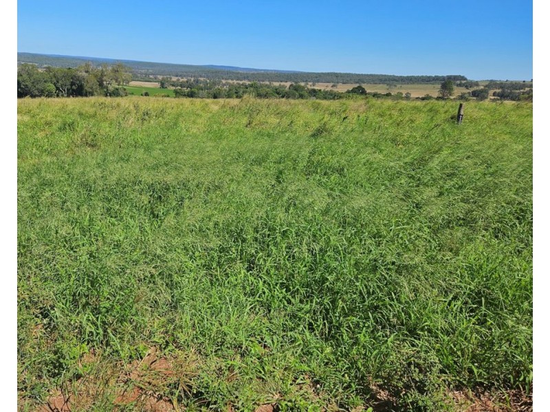 Mp Creek QLD 4606