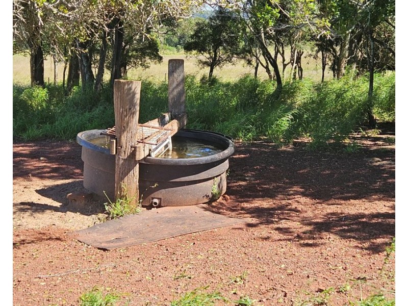 Mp Creek QLD 4606