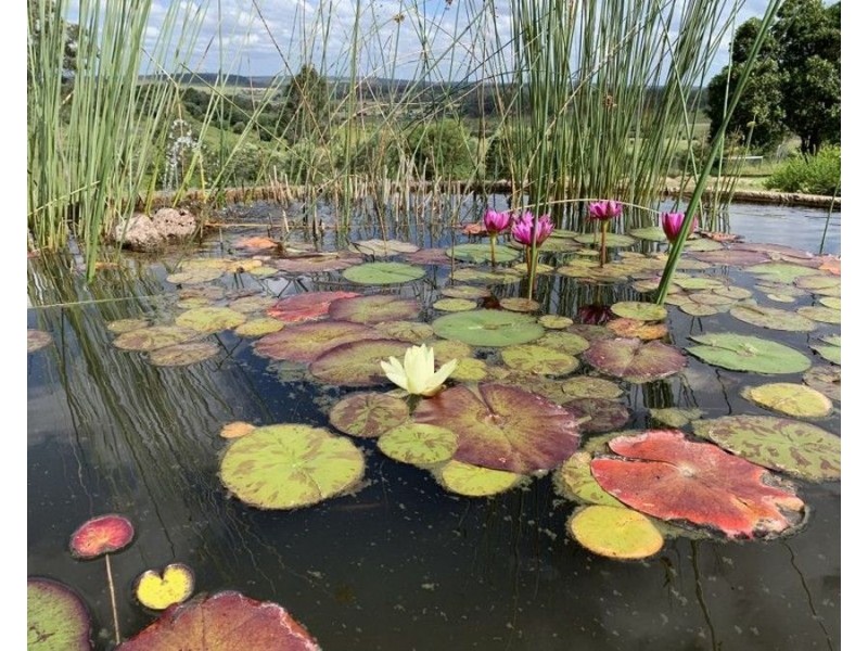 414 Middle Road, Proston QLD 4613