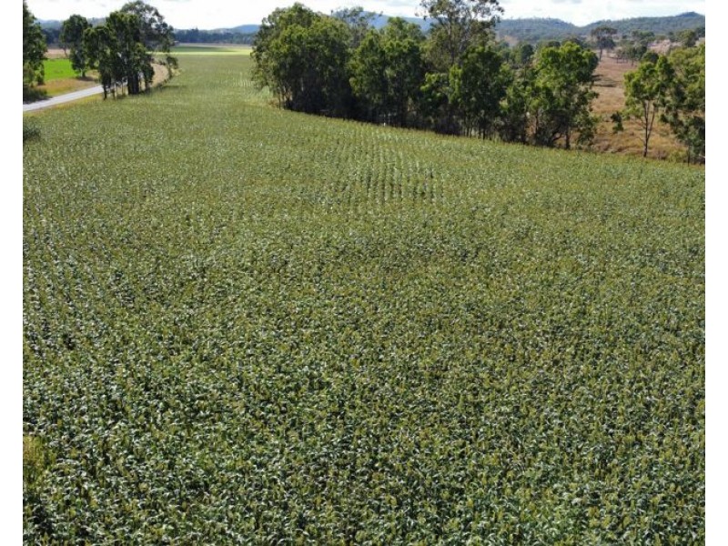 9 Oakey Creek Road, Cinnabar QLD 4600