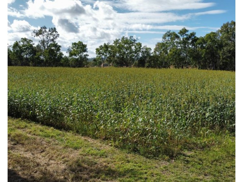 9 Oakey Creek Road, Cinnabar QLD 4600