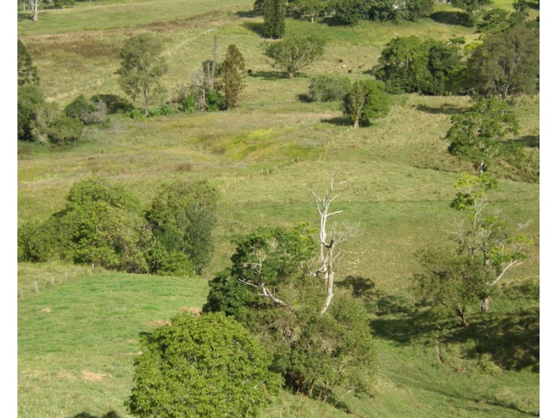 Lot 31 Musavale Road, Eerwah Vale QLD 4562