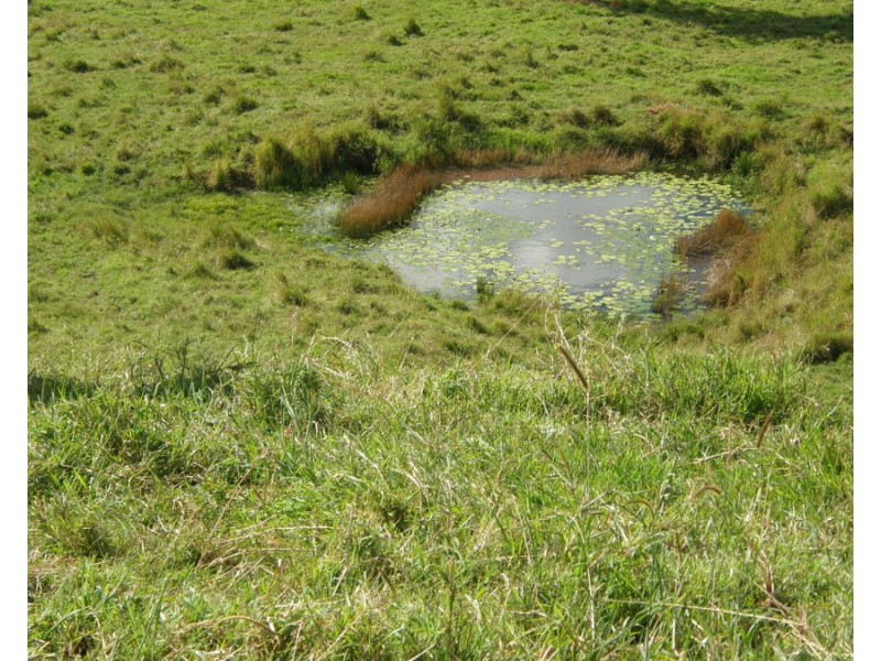 Lot 31 Musavale Road, Eerwah Vale QLD 4562