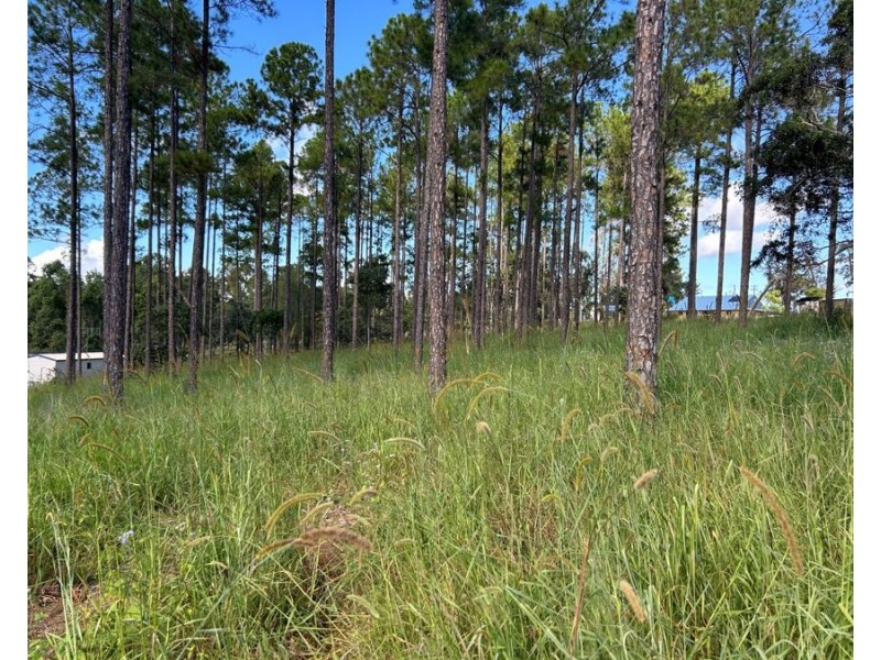 Lot 210 Arborthree Road, Glenwood QLD 4570