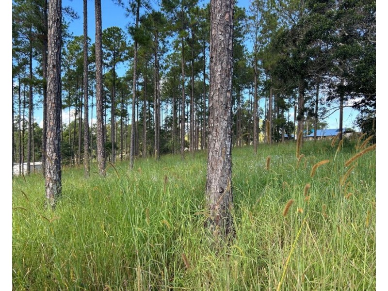 Lot 210 Arborthree Road, Glenwood QLD 4570