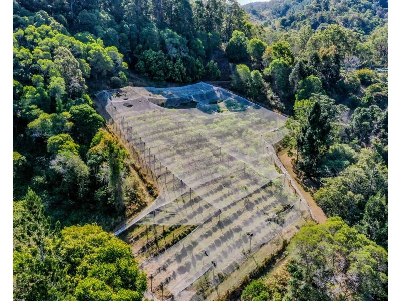 26 Burns Road, Ross Creek QLD 4570