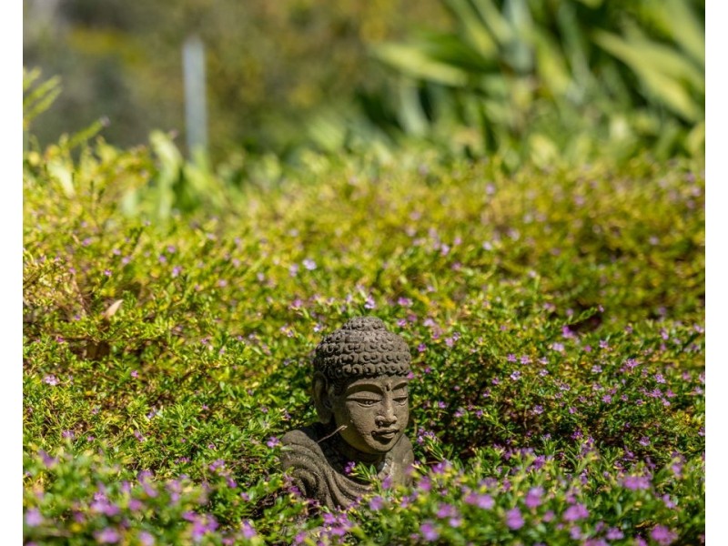 26 Burns Road, Ross Creek QLD 4570