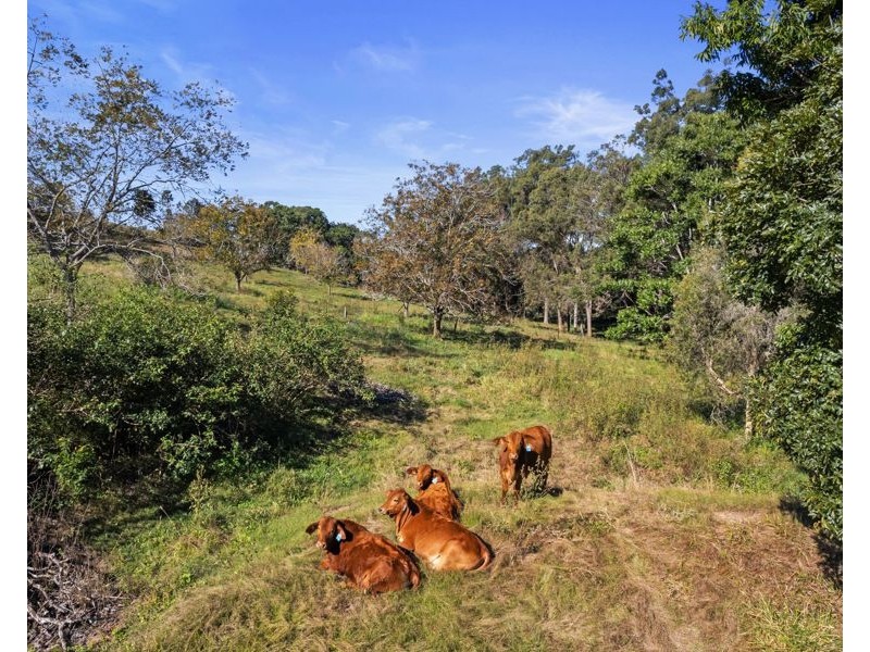 86 Hyne Estate Road, Kandanga QLD 4570