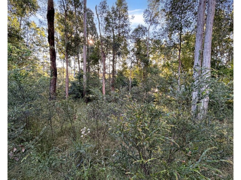 59 Old Veteran Road, Veteran QLD 4570