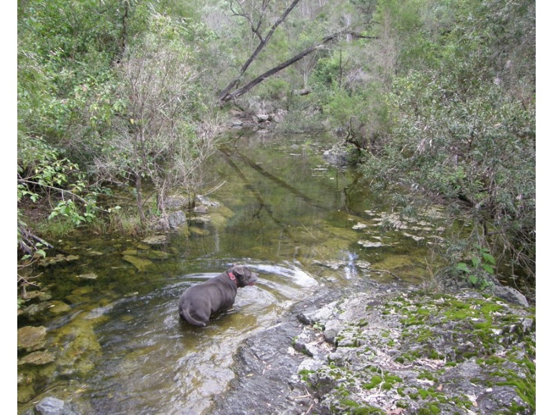 Jimmy Scrub Road, Manumbar QLD 4601