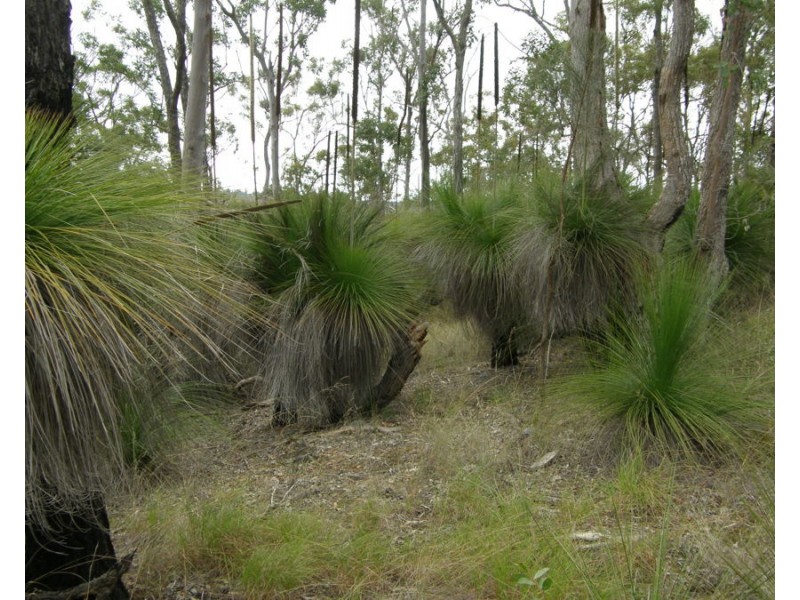 Jimmy Scrub Road, Manumbar QLD 4601