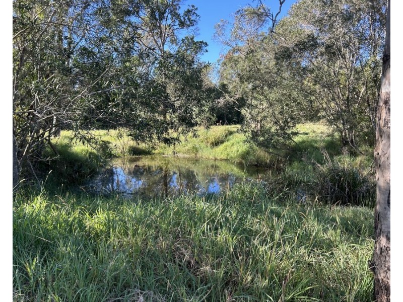 Lot 31 Arborthree Road, Glenwood QLD 4570