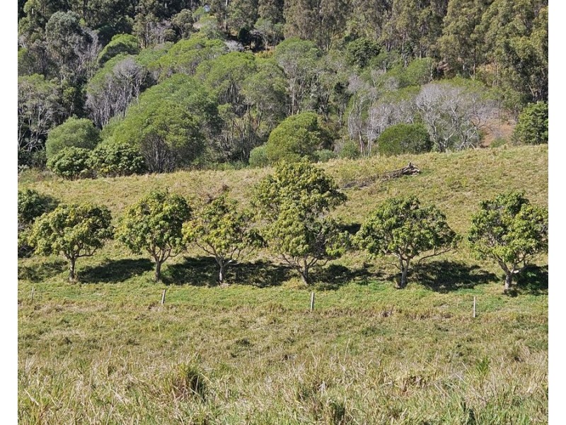 327 Schreibers Road, Cooran QLD 4569