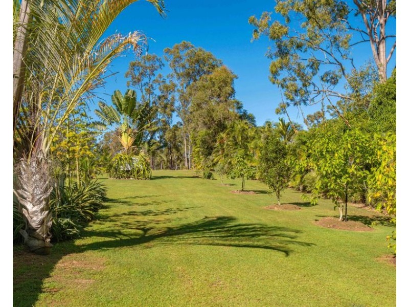 53 Cliff Jones Road, Curra QLD 4570