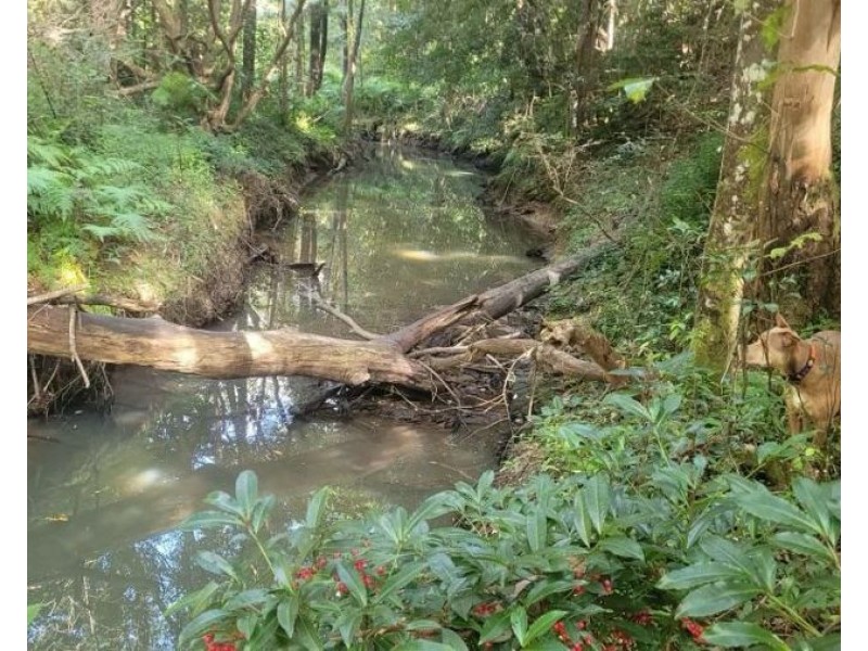 260 Eastern Branch Road, Kin Kin QLD 4571