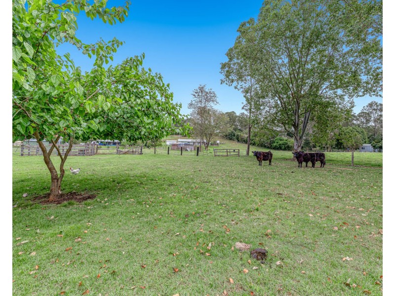 13 Samantha Drive, Pie Creek QLD 4570