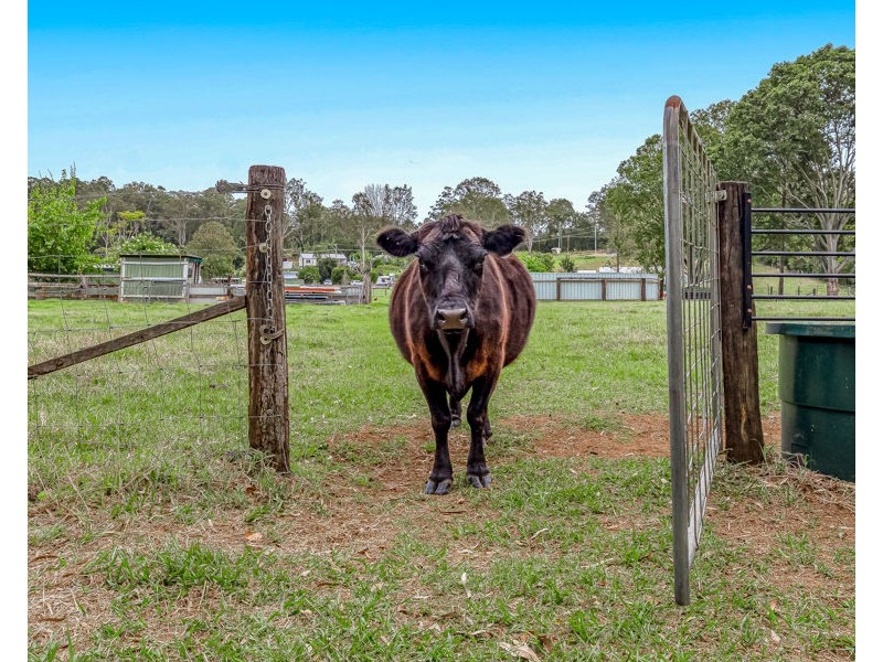 13 Samantha Drive, Pie Creek QLD 4570