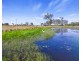 Lower Wonga QLD 4570