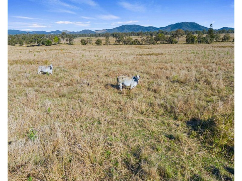 Lower Wonga QLD 4570