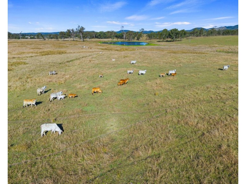 Lower Wonga QLD 4570