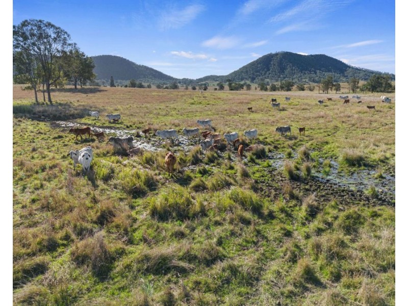 Lower Wonga QLD 4570