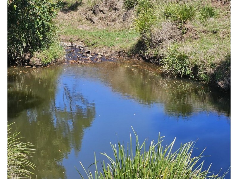 122 Fitzpatrick Road, Jones Hill QLD 4570