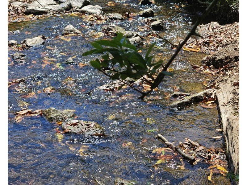 122 Fitzpatrick Road, Jones Hill QLD 4570