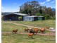 Tiaro QLD 4650