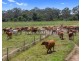 Tiaro QLD 4650